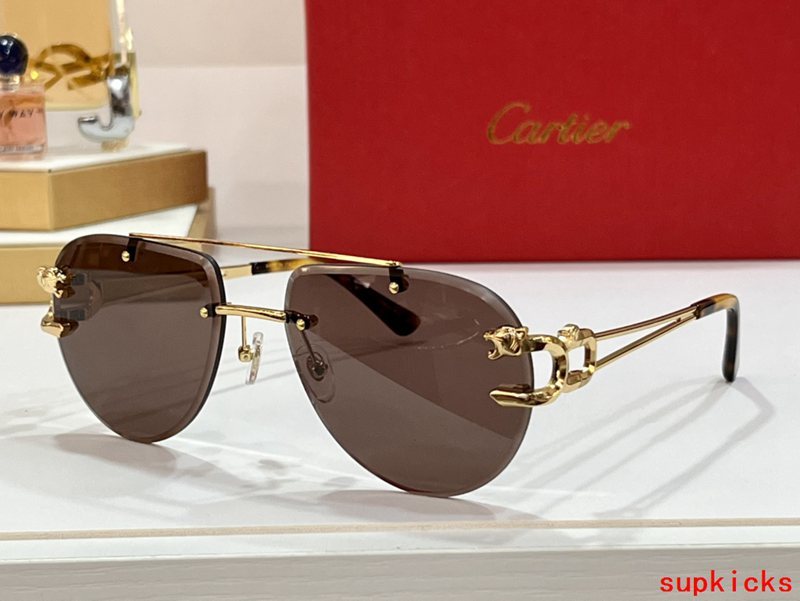 Cartier Luxury Sunglasses