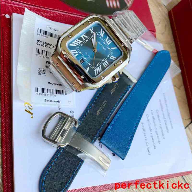 Cartier Luxury Sunglasses