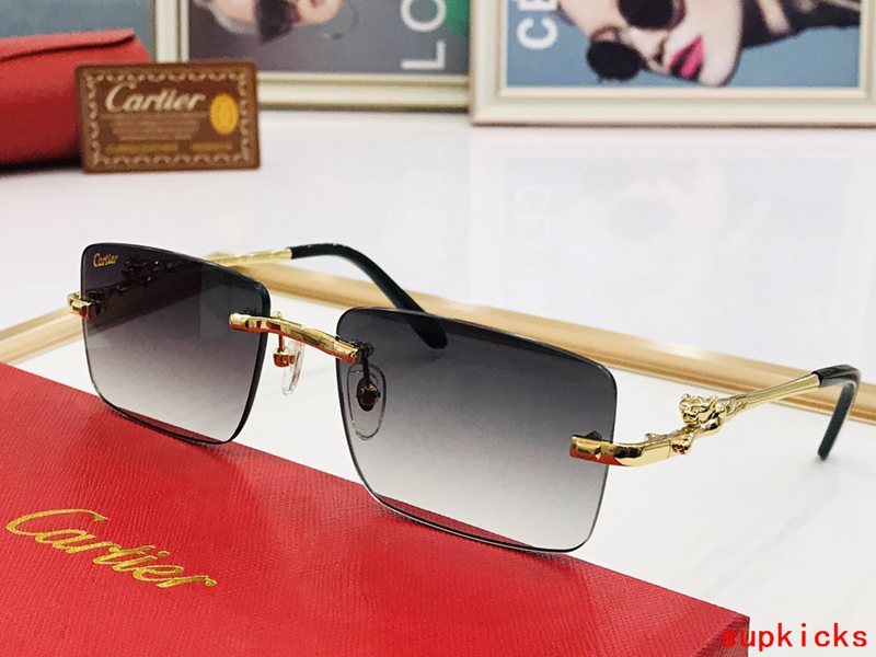 Cartier Luxury Sunglasses