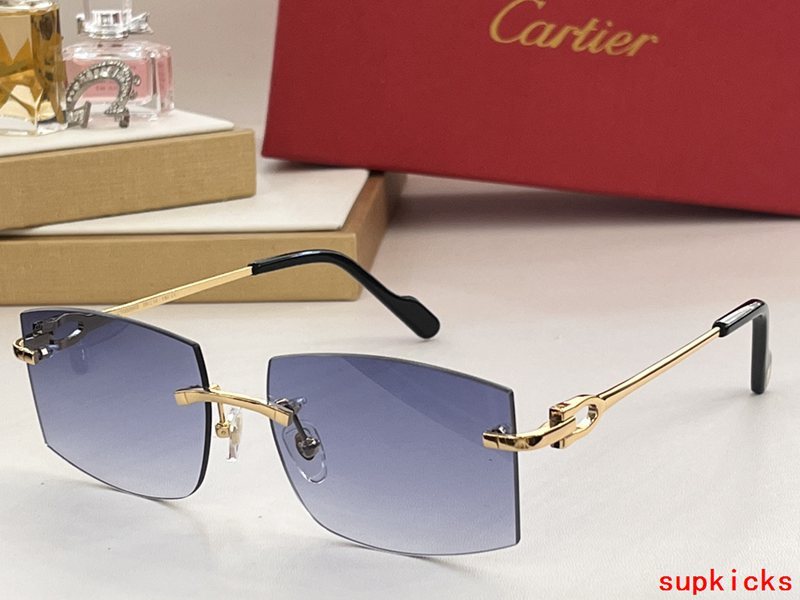 Cartier Luxury Sunglasses