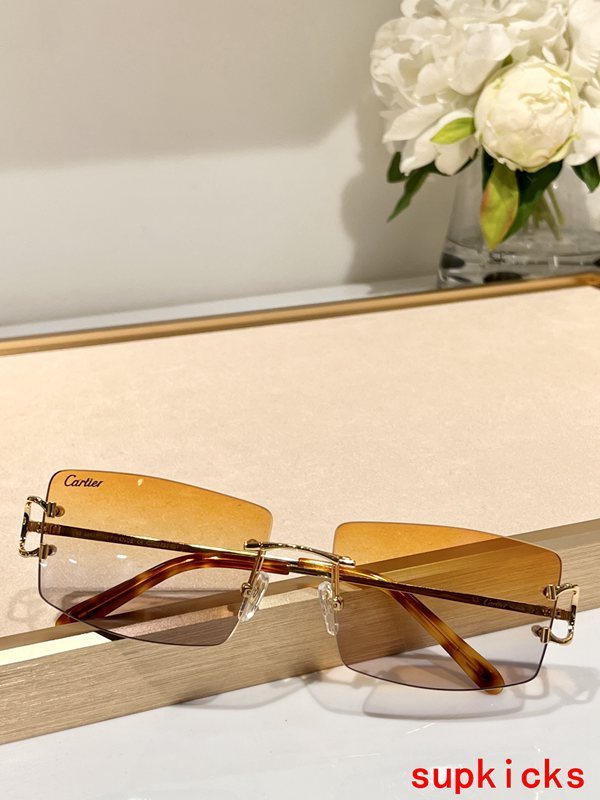 Cartier Luxury Sunglasses
