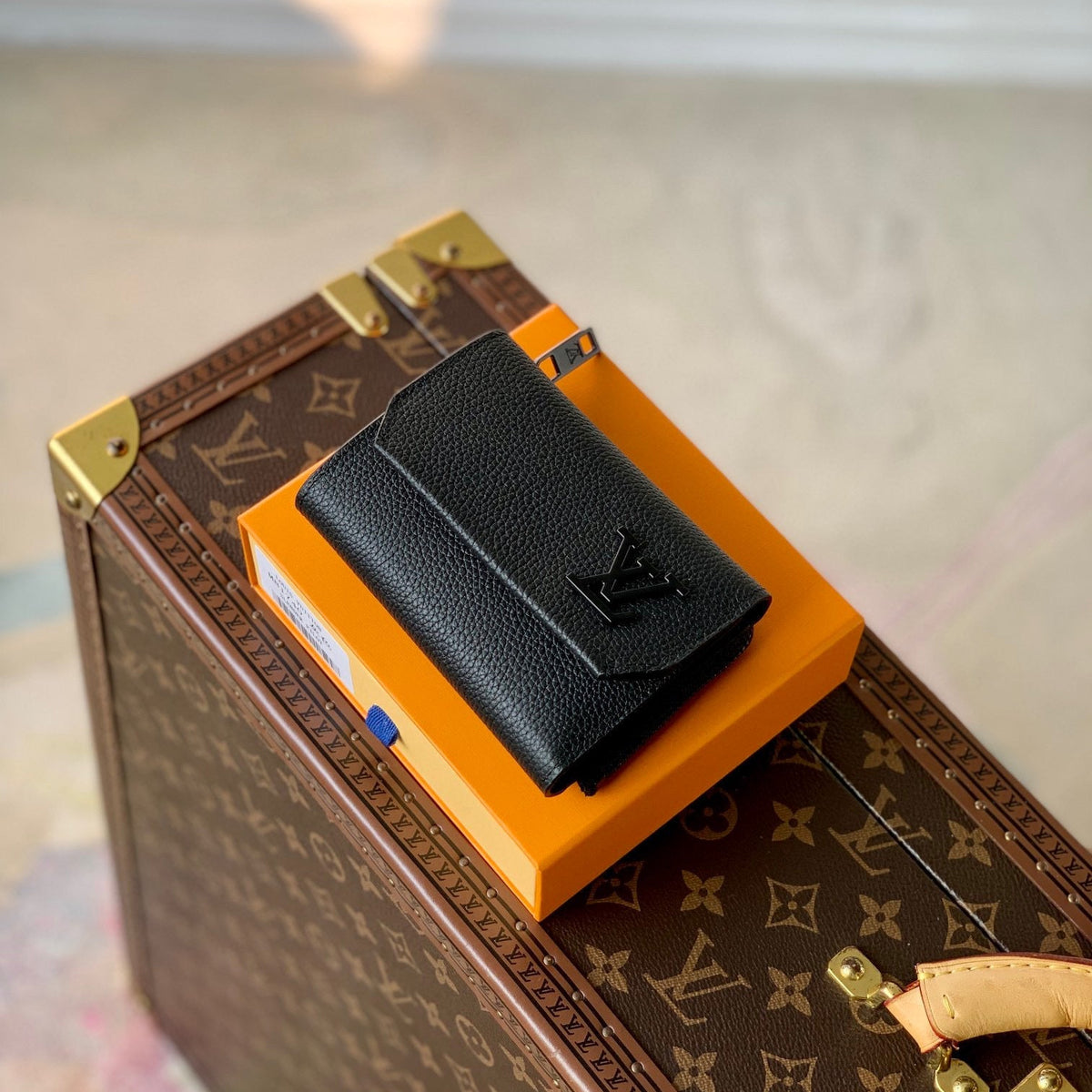 LOU PILOT WALLET