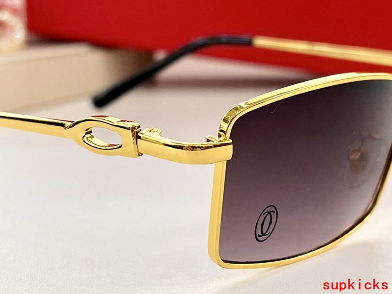 Cartier Luxury Sunglasses
