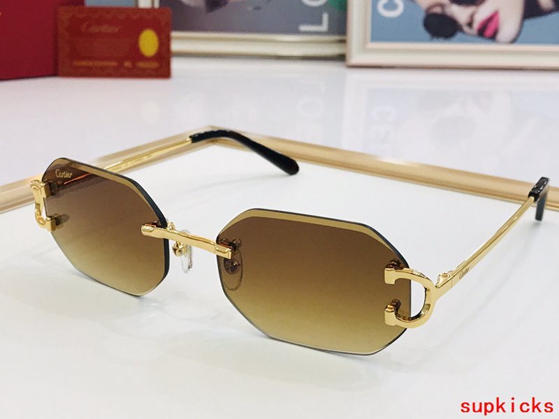 Cartier Luxury Sunglasses