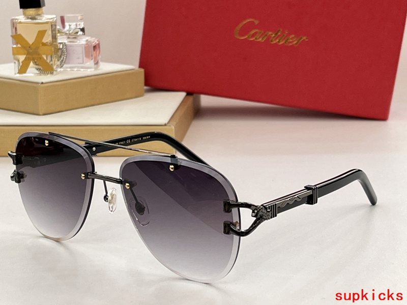 Cartier Luxury Sunglasses