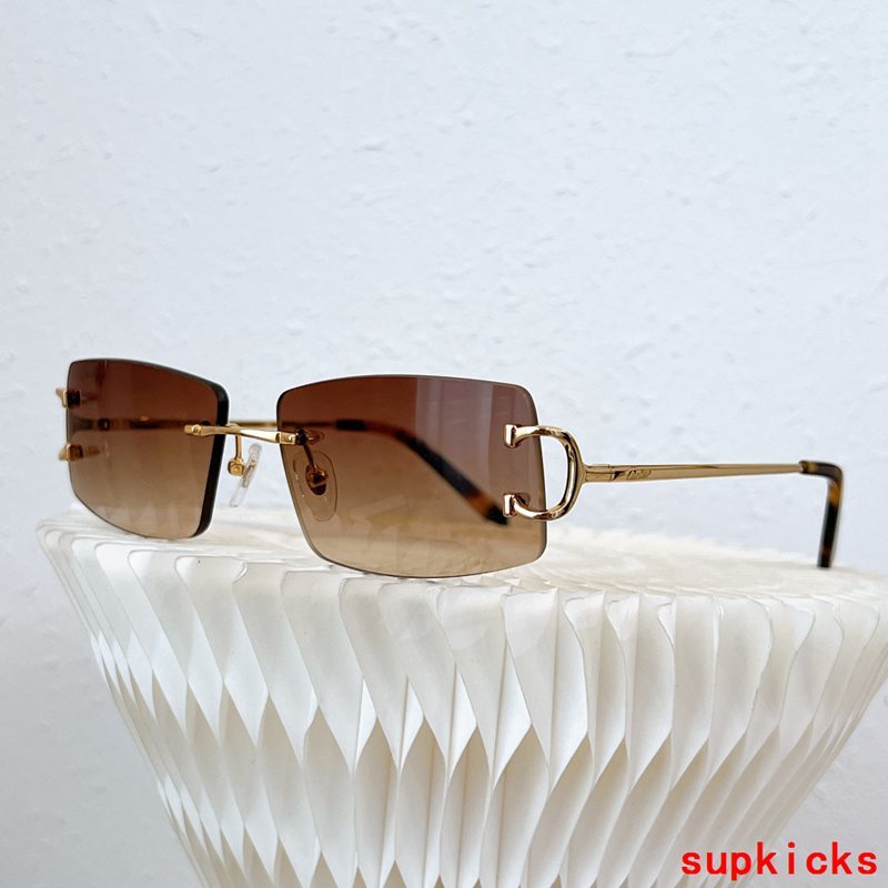 Cartier Luxury Sunglasses