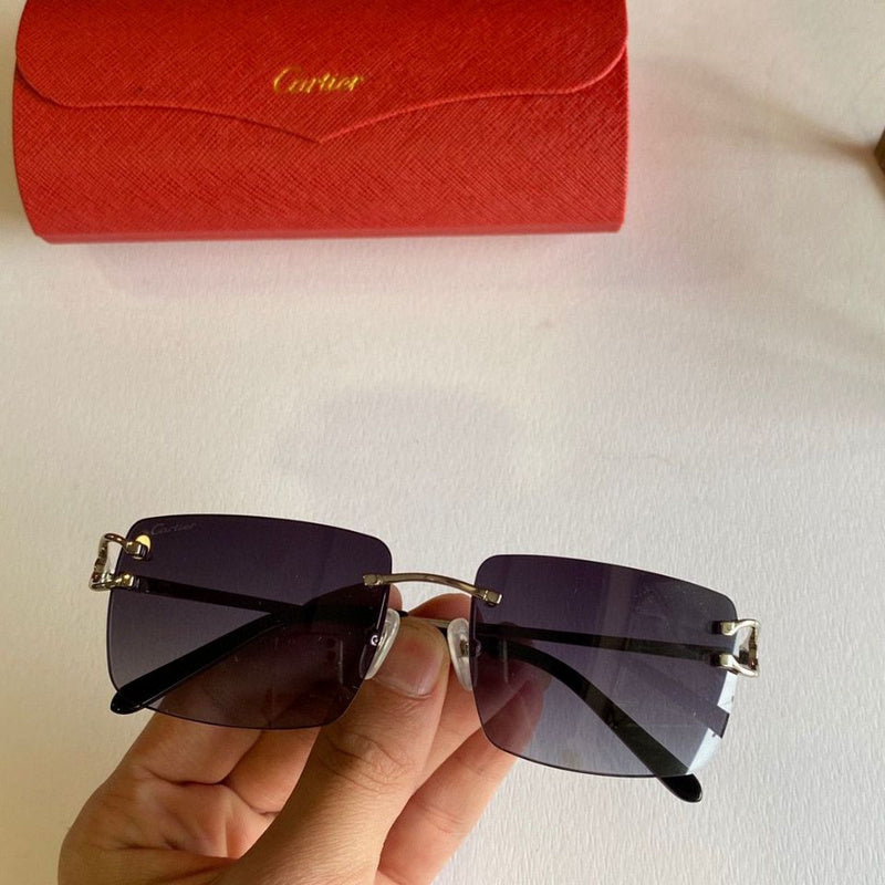 Cartier Luxury Sunglasses
