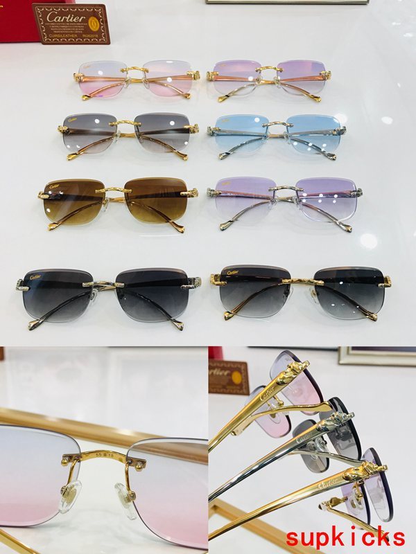 Cartier Luxury Sunglasses
