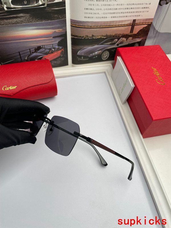 Cartier Luxury Sunglasses