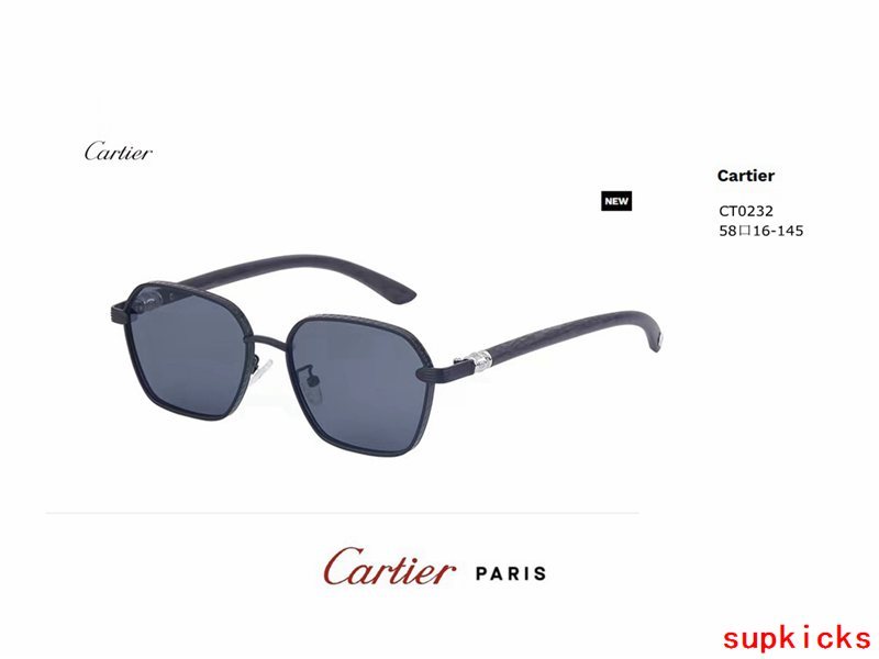 Cartier Luxury Sunglasses
