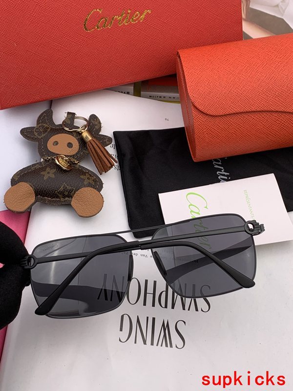 Cartier Luxury Sunglasses