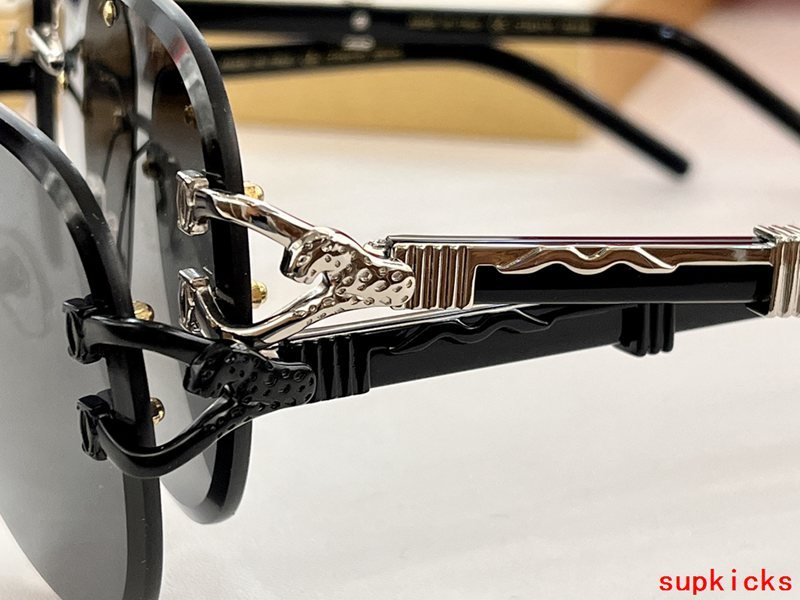 Cartier Luxury Sunglasses