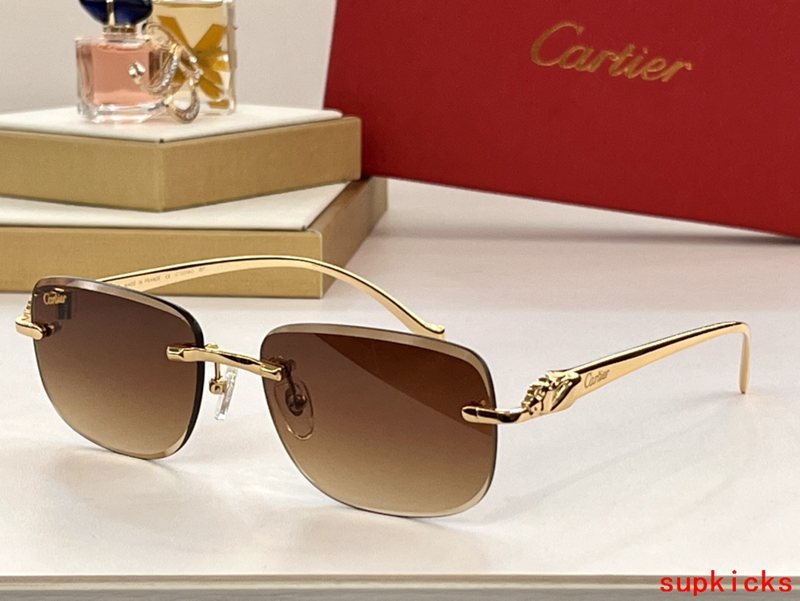 Cartier Luxury Sunglasses