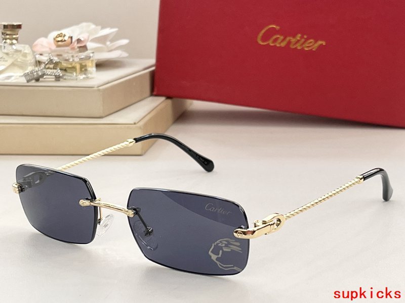 Cartier Luxury Sunglasses