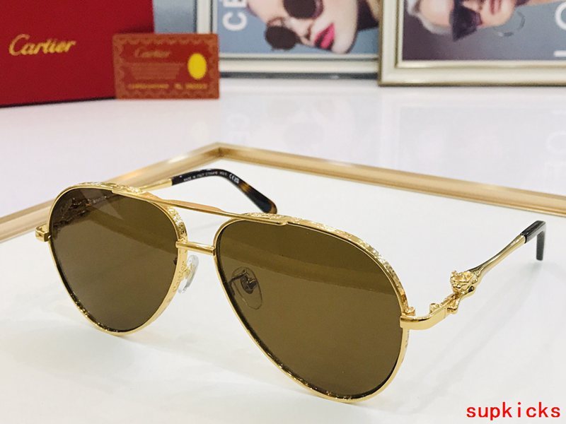 Cartier Luxury Sunglasses