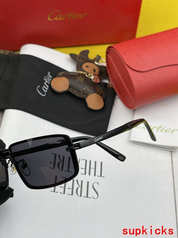 Cartier Luxury Sunglasses