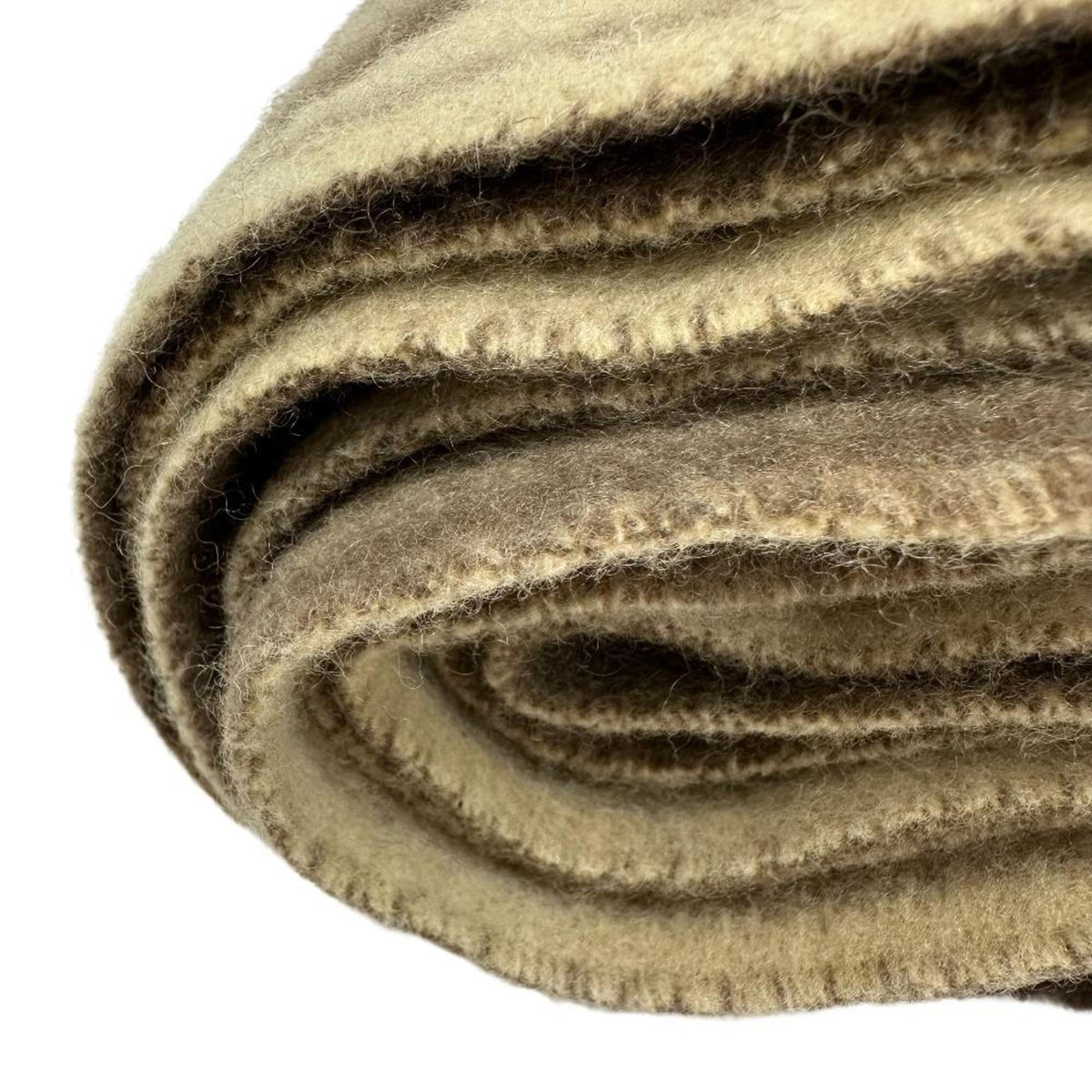 balenciaga Scarves