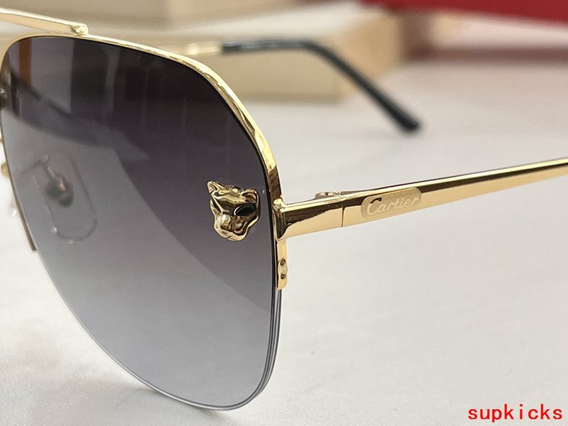 Cartier Luxury Sunglasses