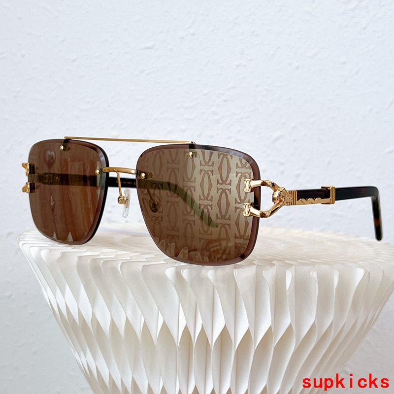 Cartier Luxury Sunglasses