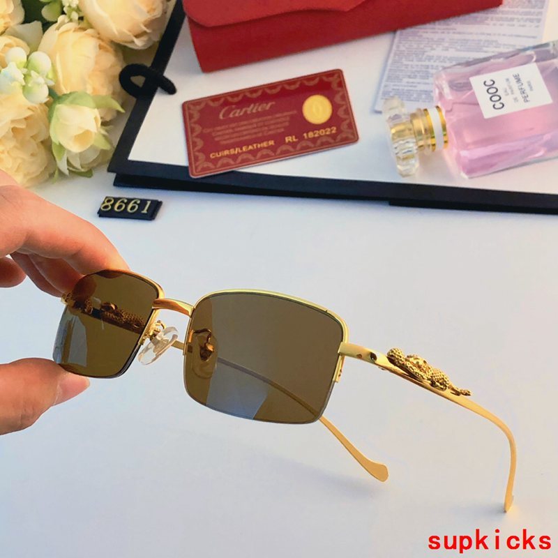 Cartier Luxury Sunglasses