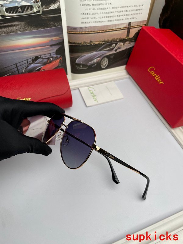 Cartier Luxury Sunglasses
