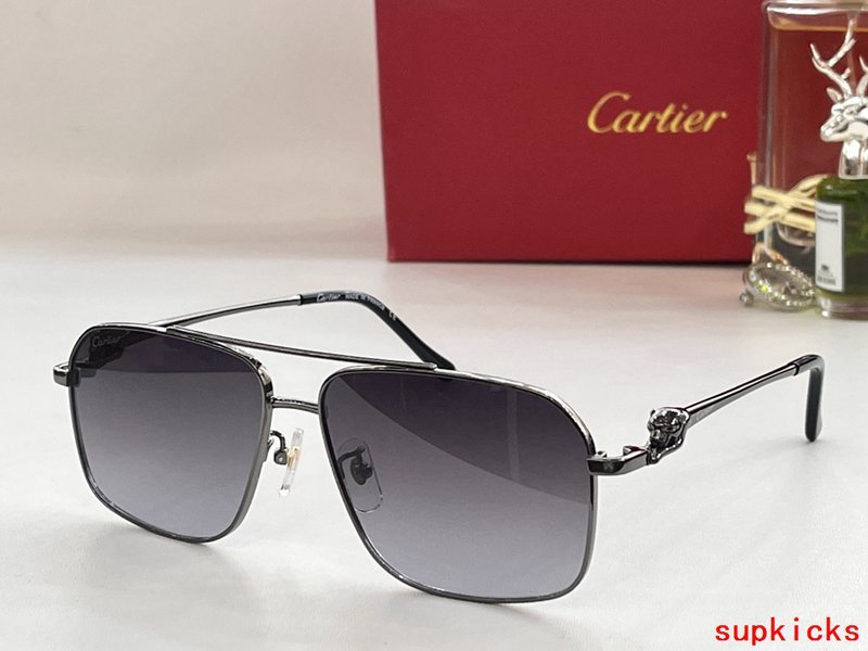 Cartier Luxury Sunglasses
