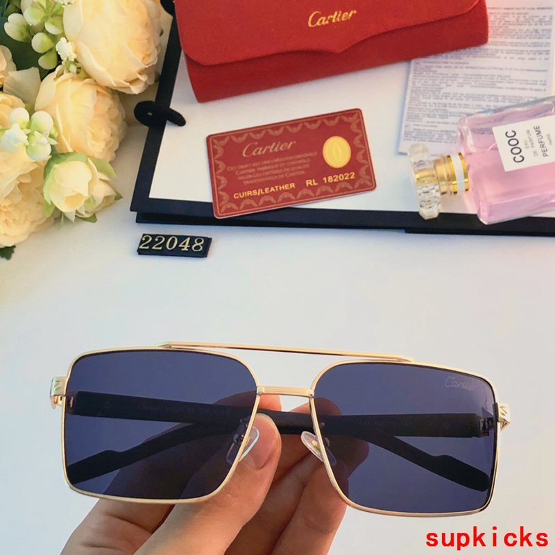 Cartier Luxury Sunglasses