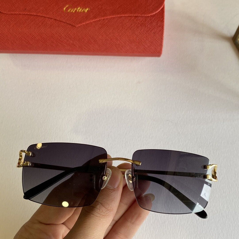 Cartier Luxury Sunglasses