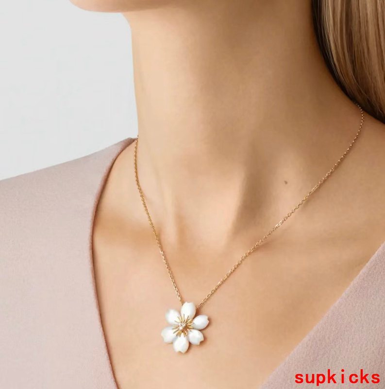 Van Cleef & Arples Jewelry
