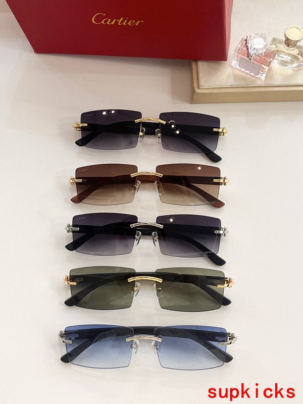 Cartier Luxury Sunglasses