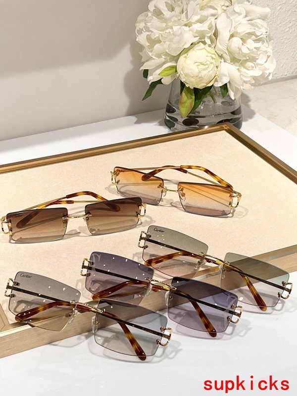 Cartier Luxury Sunglasses