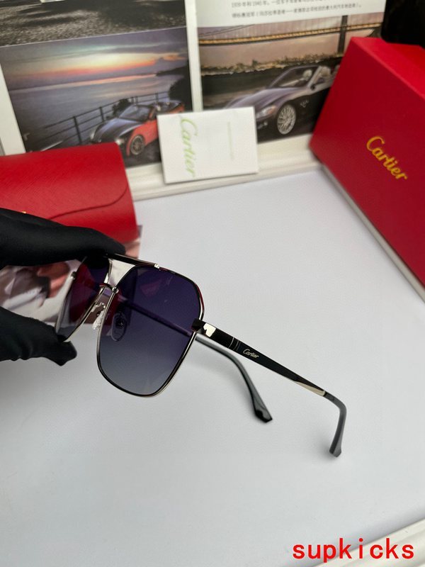 Cartier Luxury Sunglasses