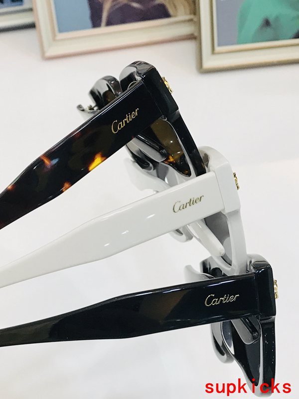 Cartier Luxury Sunglasses