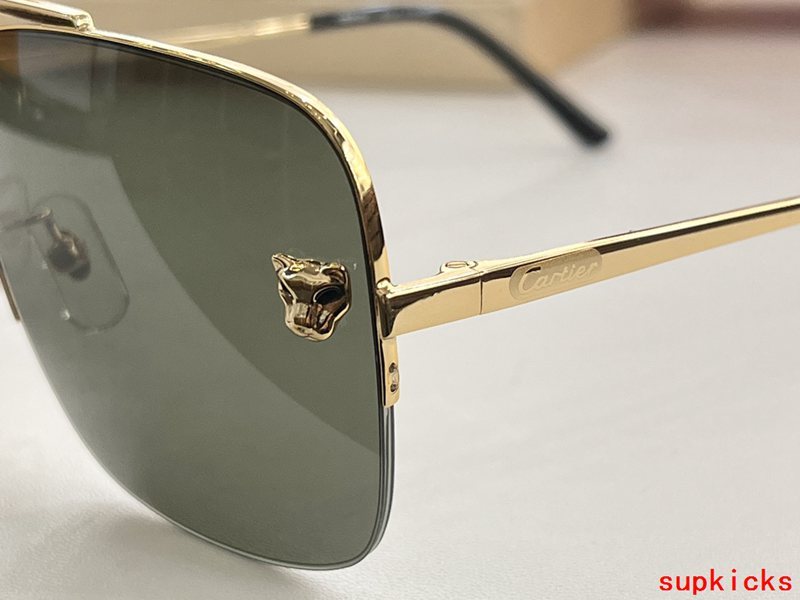 Cartier Luxury Sunglasses