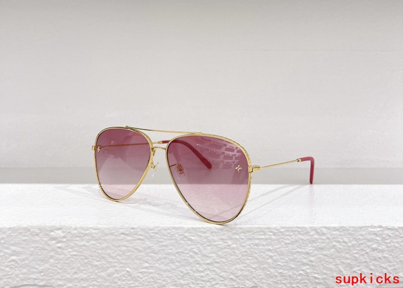 Louis Vuittion Luxury Sunglasses