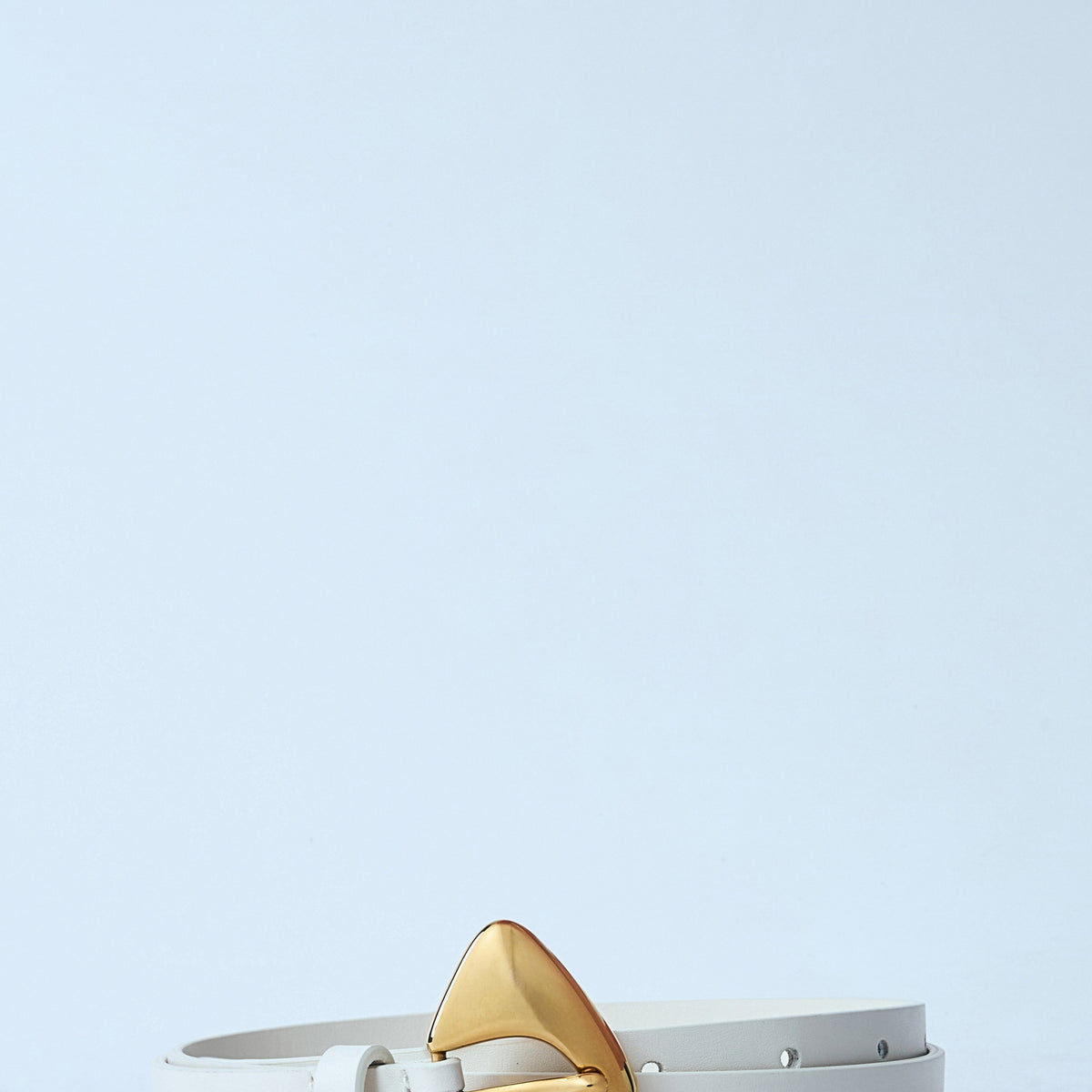 Bottega Veneta Women Fin Belt