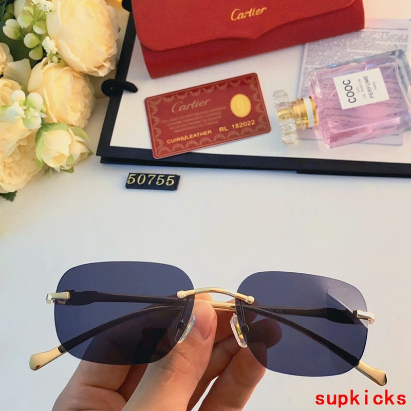 Cartier Luxury Sunglasses
