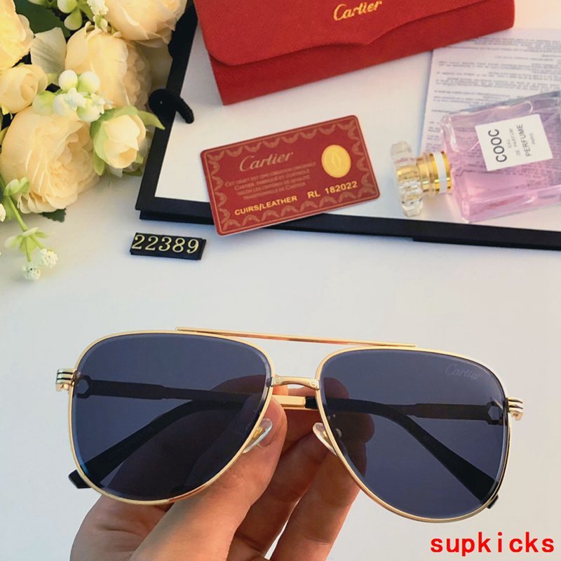Cartier Luxury Sunglasses
