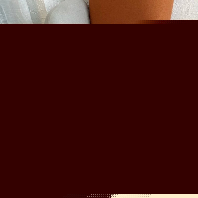 Louis Vuittion Luxury Shoes