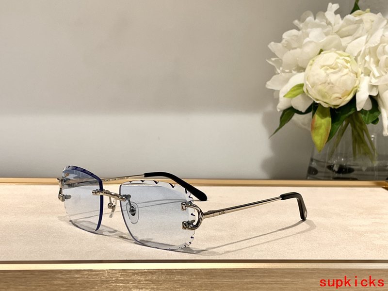 Cartier Luxury Sunglasses