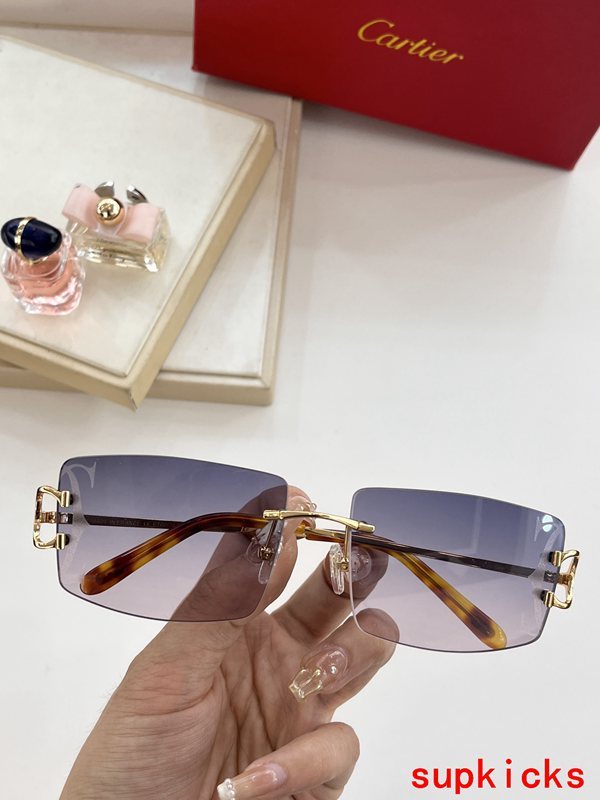 Cartier Luxury Sunglasses