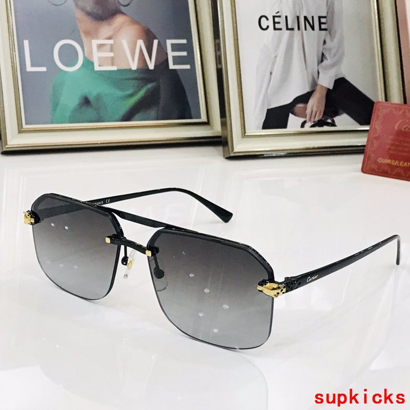Cartier Luxury Sunglasses