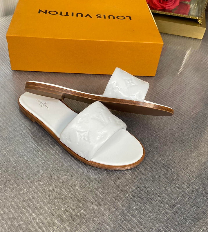 Louis Vuittion Luxury Shoes