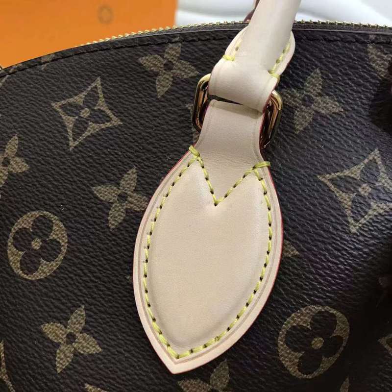 LOV2 Bags - Luxurious Bags  672