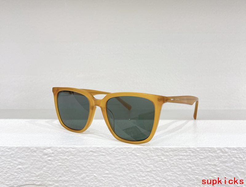 Louis Vuittion Luxury Sunglasses