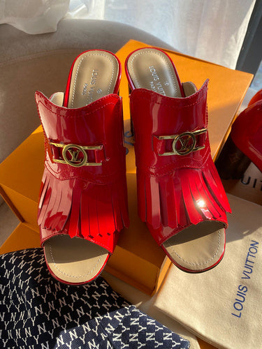 Louis Vuittion Luxury Shoes