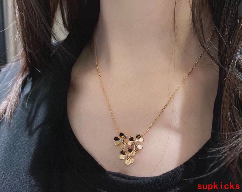 Van Cleef & Arples Jewelry