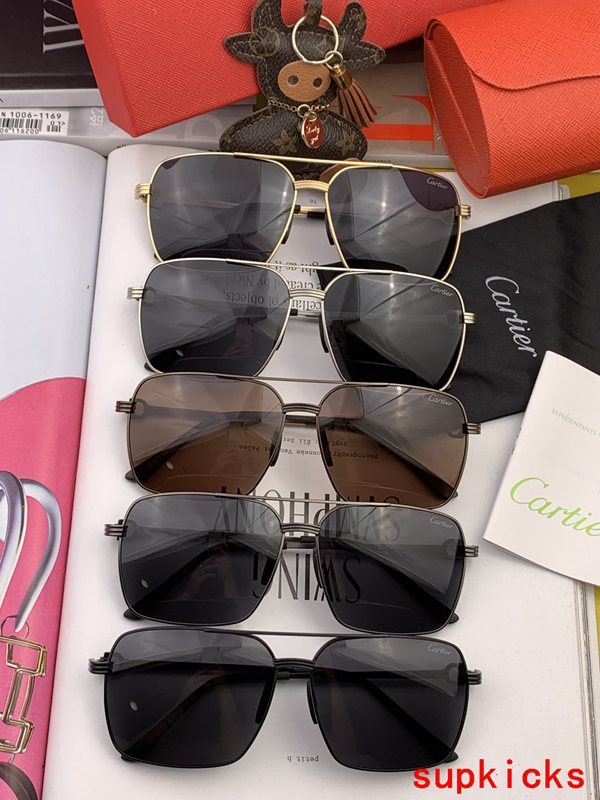 Cartier Luxury Sunglasses