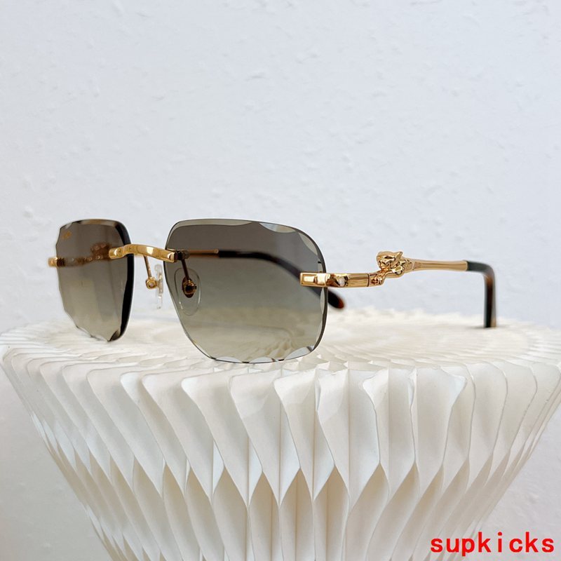 Cartier Luxury Sunglasses