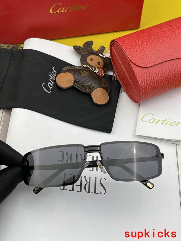 Cartier Luxury Sunglasses